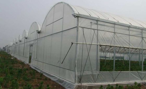 100 Micronpe Serre van de de Laag Plastic Tunnel van de Filmserre de Enige