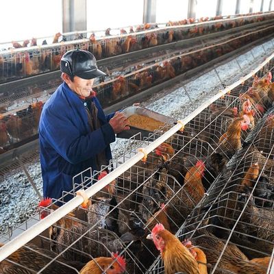 De grote Korrel die van het Capaciteitsgevogelte Kip 5mm maken van het Machinekonijn