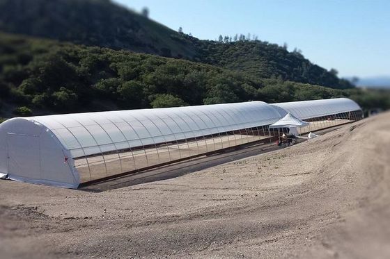 De enige Spanwijdtepe TUV van de Filmserre Serre van de Lage Kosten Polytunnel