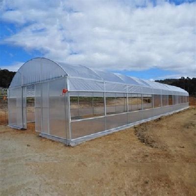 De enige Spanwijdtepe TUV van de Filmserre Serre van de Lage Kosten Polytunnel