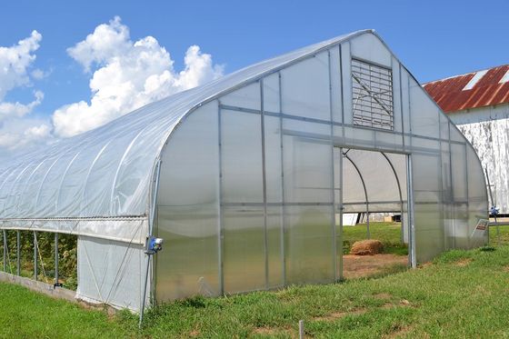 Enig Tunnelpe Economisch het Type van Filmserre Plantaardig Groen Huis
