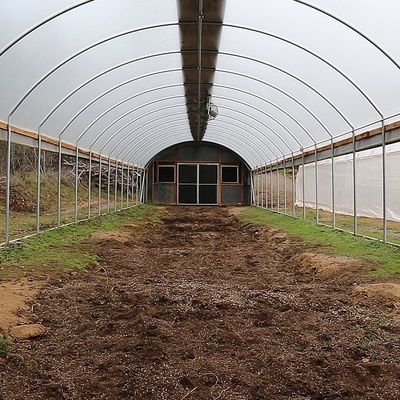 Enig Tunnelpe Economisch het Type van Filmserre Plantaardig Groen Huis